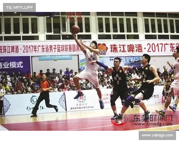 2017年篮球比赛 2017年篮球比赛